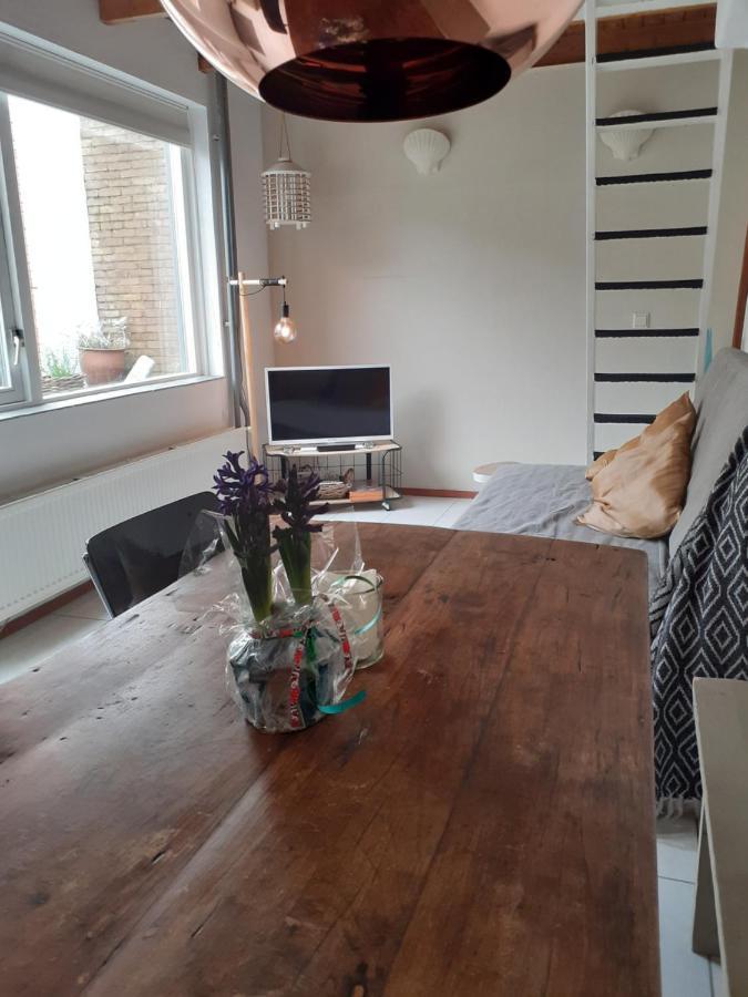 Cottage Near The Beach In The Center.**** Noordwijk Εξωτερικό φωτογραφία